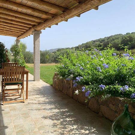 Macciuneddu Country Retreat ゴルフォ・アランチ エクステリア 写真